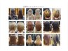 cien艶美人集中プログラムトリートメント(約1ヶ月半分ホームケア込み)