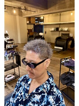 ミオ ベガ(Mio'' VEGA) シルバーショート