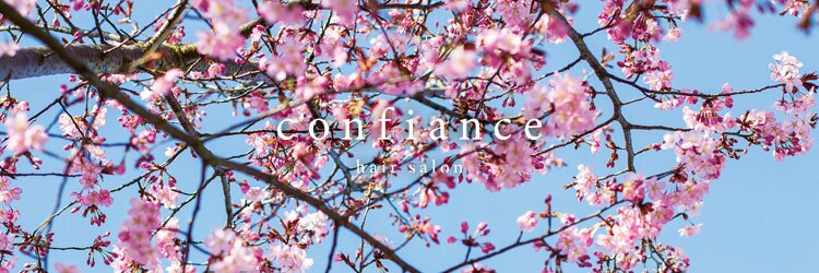 コンフィアンス(confiance)のサロンヘッダー