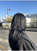 韓国風ウルフ×ブルーバイオレット
