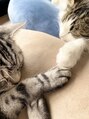 ルミュー(le mieux) 断然猫派です!!