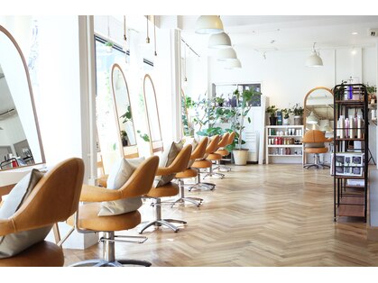 リッカテイル(Lycka till)の写真