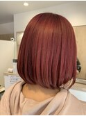 ダブルカラー，ピンクレッド，プラムピンク【草加】