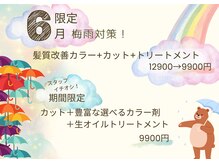 ラスター(LUSTER)