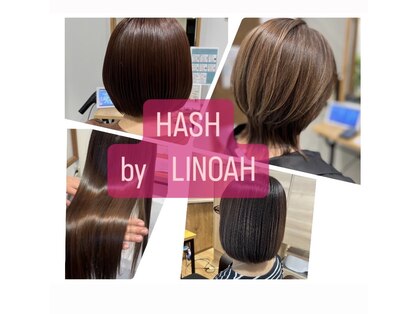 ハッシュバイリノア 喜連瓜破店(HASH by LINOAH)の写真