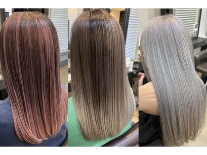 フィッティ(fiti)の写真