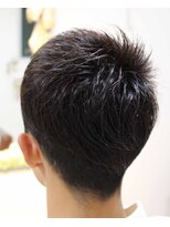 ラスター(Luster)&nbsp;ショート