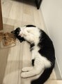 スミ(SUMI) 愛猫のあんこくん
