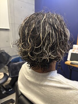 アルト(alt) サーフカール