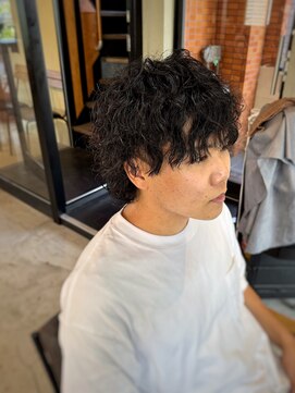 ロルド シェリ(Rold Cheri) 【山本智文】グランジパーマウルフ