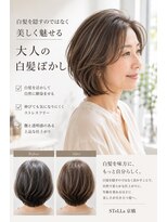 ステラ(STeLLa)&nbsp;白髪を隠すのではなく美しく魅せる大人の白髪ぼかし