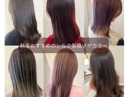 アンビ(ambi)の写真