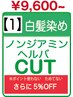 【1】敏感肌・ノンジアミン白髪染め・ヘルバ+カット¥9600~|WEB予約限定