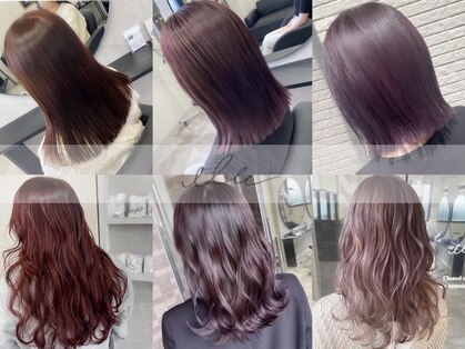 エル(elle.)の写真