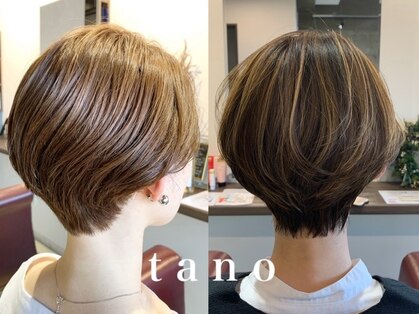 タノ(tano)の写真