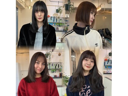 ピノ(pino.)の写真