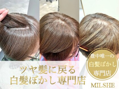 ミルシェ(MILSHE)の写真