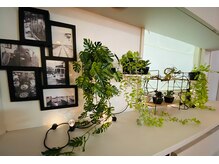 ポッシュ 原宿店(HAIR＆MAKE POSH)の雰囲気（ナチュラルな店内でゆっくりお過ごし下さい☆）