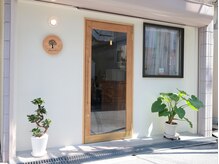 ガジュマル(gajumaru)
