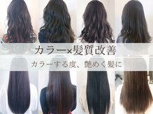 フィエスタ(Fiesta)