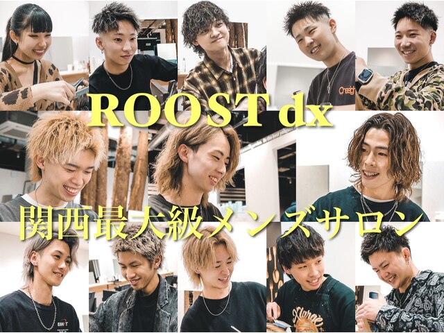 ルースト デラックス(ROOST DX)