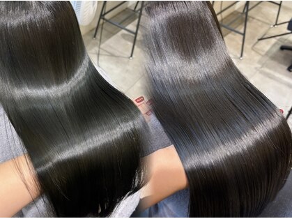 シュガー(Sugar)の写真