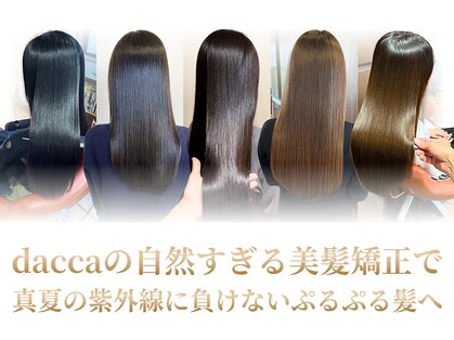 ダアッカ(da acca)の写真