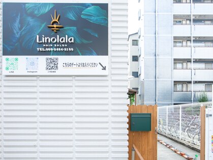 リノララ(Linolala)の写真