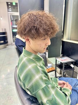 ネクスト 静岡店(NEXT) プードルツイスパ