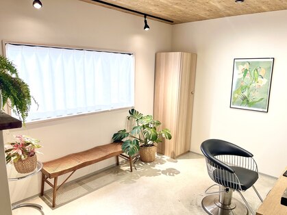 バス(BATH)の写真