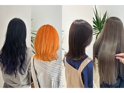 ハダリ(hadari)の写真
