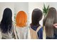 ハダリ(hadari)の写真