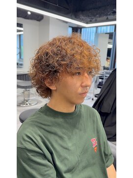 ステラ(STELLA) プードルマッシュウルフ/プードルパーマ/マッシュウルフパーマ