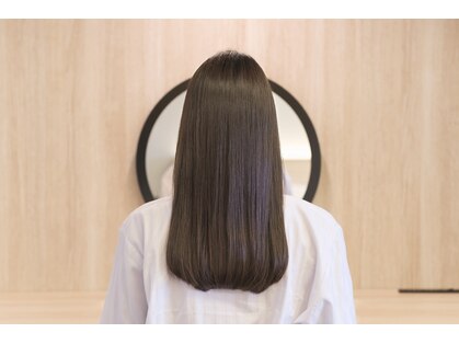 コヨリ(Coyori)の写真