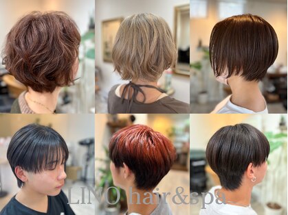 リノ(LINO)の写真