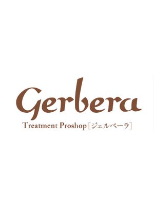 ジェルベーラ(Gerbera)