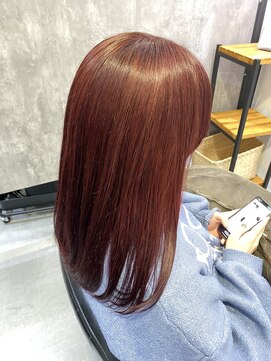 ソルバー(SOLVER) カシスレッド