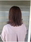 ロブのベリーカラー