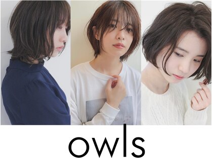 オウルズ(owls)の写真
