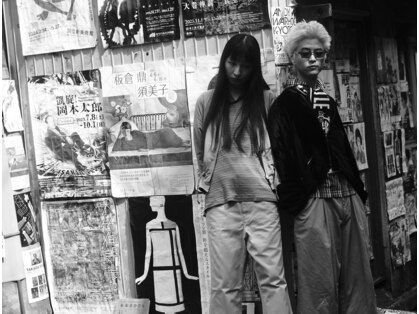 ノイス(noyce)の写真