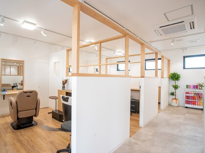マオラ(mahola)の写真