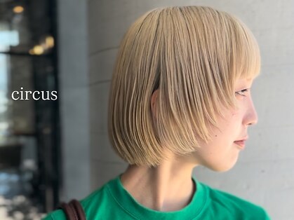 サーカス(circus)の写真