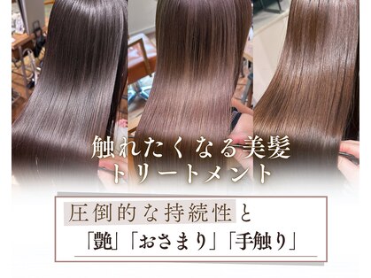 リュミエ ドゥ マッシュ(Lumier de mashu)の写真