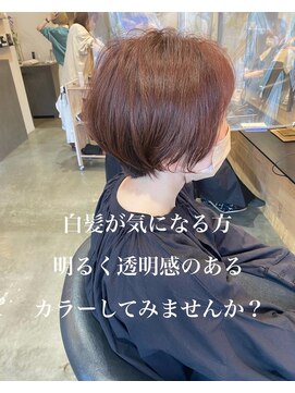 ドルセプラタ(Dulce plata) 透明感白髪ぼかしハイトーンバーガンディーハンサムショート