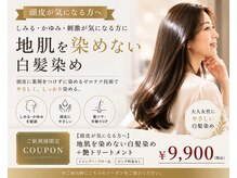 ヘアーデザインゼロ(hair design ZERO)