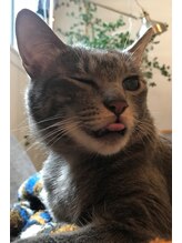 ハーモナイズ(HARMONIZE) 齋藤 真彦