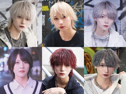 ポプルス(popls)の写真