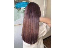 シーラ 光の森(Sea-La)