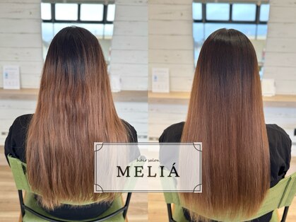 メリア(MELIA)の写真