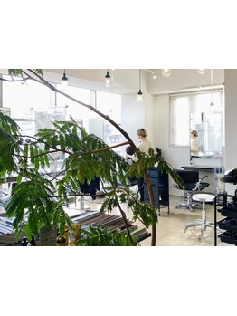 丁寧なカウンセリングでその人の今を表現し自分史上最高のスタイルに！